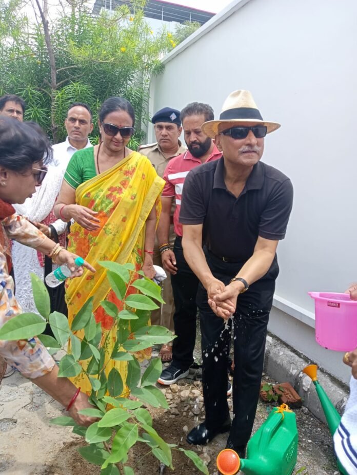 On the occasion of Harela festival, Chief Secretary Radha Raturi planted a tree (Golden Shower Tree)