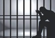 बिजली चोरी के मामले में उपभोक्ता को तीन महीने का कारावास