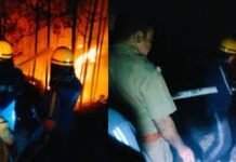 गेस्ट हाउस से 70 यात्रियों को सुरक्षित निकाला बड़ेथी में जंगल की भीषण आग बस्ती और हाईवे तक पहुंची